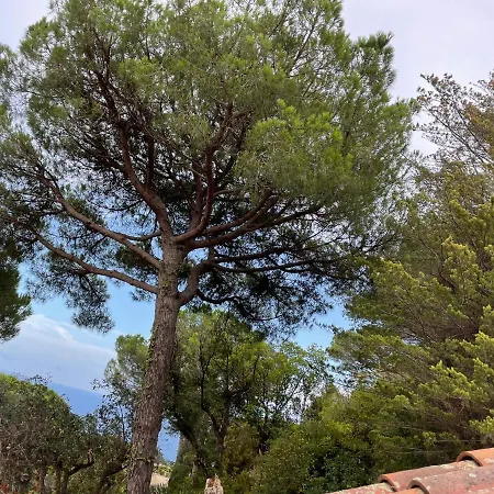 In Villa Tossa de Mar